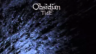 Obsidian Tide - Debris
