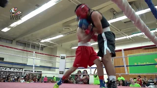 Jose Alvarez vs Ruben Baez WBC Green Belt Challenge