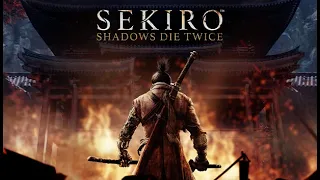 6. Sekiro 30.04 18.00 МСК Куда там дальше...