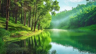 Gentle healing music for health and calming the nervous system, deep relaxation #12