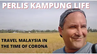 PERLIS KAMPUNG LIFE / TRAVEL MALAYSIA IN THE TIME OF CORONA / MATA AYER TRAVEL VLOG / MCO LOCKDOWN