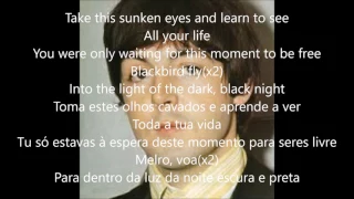 Blackbird( lyrics e tradução em português)