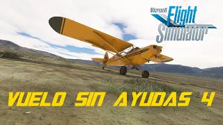 Microsoft Flight Simulator: Vuelo sin Ayudas 4
