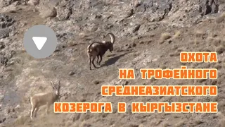 ОХОТА НА ТРОФЕЙНОГО КОЗЕРОГА В КЫРГЫЗСТАНЕ 2020 !  Ibex hunt in Kyrgyzstan.