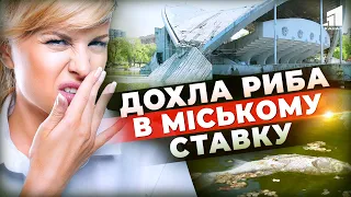 🐟☠Через що масово гине риба в ставку у центральному парку Дніпра? Хто винен і що з цим робити?