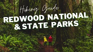 REDWOOD NATIONAL PARK HIKING GUIDE | ROAD TRIP UP NORTHERN CALIFORNIA