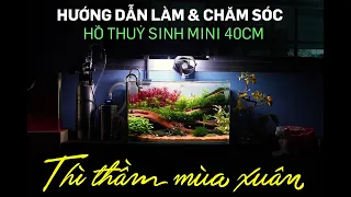 Hướng dẫn làm & chăm sóc hồ thuỷ sinh 40cm tuyệt đẹp chỉ sau 15 ngày - Thuỷ sinh Quới decor