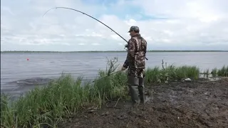 Рыбачим на плавающем ковре!!! Щука, гроза, чуть не провалился в болото!!! Летняя рыбалка 2022 г.