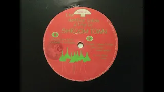 The Dentist Takes A Trip To Shroom Town - The Silver Remix. Boscaland Records