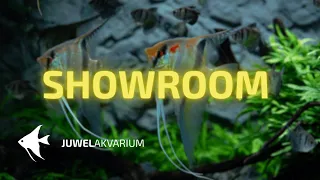 Největší showroom s akvaristikou v ČR