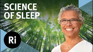 Essential Functions of Sleep: Learning, Memory and Changing Your Mind - with Gina Poe