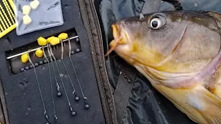 My favorite carp rig! How to tie a hair rig and method lead. Best Carp fishing rig