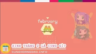 Sinh tháng 2 là cung hoàng đạo gì? | Cunghoangdao.info