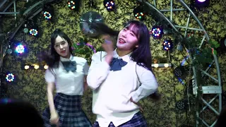 230201 PINKFANTASY JAPAN LIVE&TALK 2부 Attention(cover dance） 하린직캠