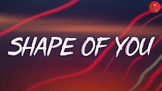 Shape of You - Ed Sheeran (Lyrics)