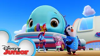 Baby Whale Delivery! | World Whale Day! 🐳 | T.O.T.S. | Disney Junior