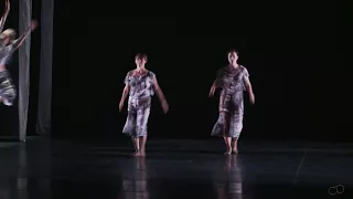 Trisha Brown Dance Company - Vídeo 2