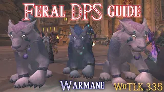 How to DPS as a Feral Cat in 3.3.5