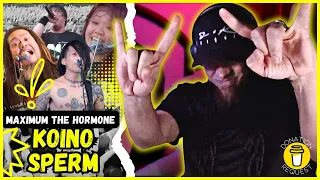 MAXIMUM THE HORMONE "Koino Sperm"  // Audio Engineer & Musician Reacts