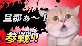 変わった鳴き声の猫 全員参戦！Part3【旦那ぁ〜！】