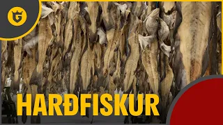 How It's Made: Traditional Icelandic Dried Fish