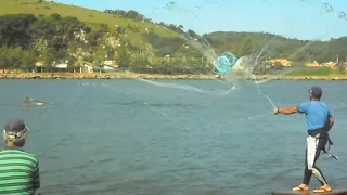 Pesca de Taínhas com ajuda dos Botos!(dolphins). Laguna SC