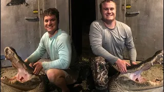 How To Gator Hunt In Florida