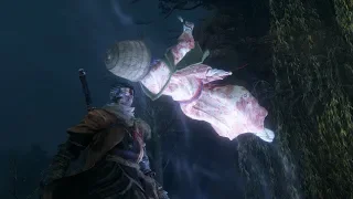 Sekiro: O'Rin of the Water Boss Fight