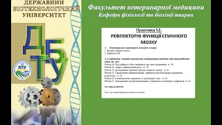 Фізіологія. Практика 52.  Рефлекторна функція спинного мозку