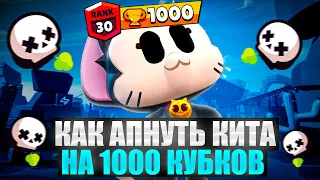 🔥КАК АПНУТЬ КИТА НА 30 РАНГ ?ЛУЧШИЙ ГАЙД ДЛЯ ПУША В БРАВЛ СТАРС 🔥