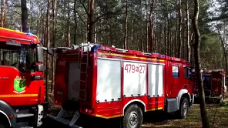 Alarmowo do pożar lasu w Legionowie | 479[M]24 i 479[M]27 | OSP CHOTOMÓW