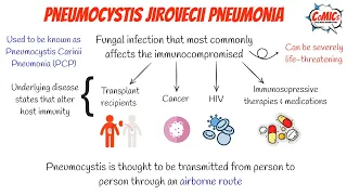 CoMICs Episode 51: Pneumocystis Jiroveci Pneumonia