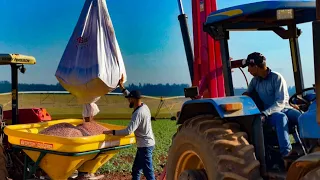 ✅jogando cobertura , irrigação , e plantio... tudo em um vídeo ⚠️