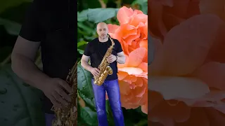 კომპოზიცია "ვარდები, ვარდები" (ფრაგმენტი) #saxophone