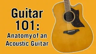 Guitar 101: Anatomy of an Acoustic Guitar