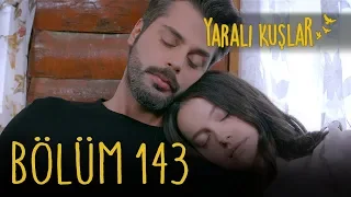 Yaralı Kuşlar 143. Bölüm