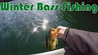 It's Just Winter Bass Fishing (South Africa) UnderSpin Action