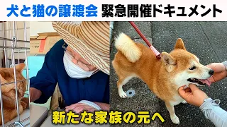 「犬と猫の譲渡会」緊急開催ドキュメント・富山市保健所