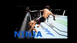 Ninja Style In Mma The Peak