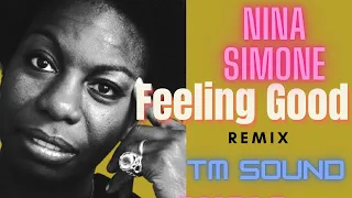 Nina Simone - Feeling Good REMIX by TM SOUND