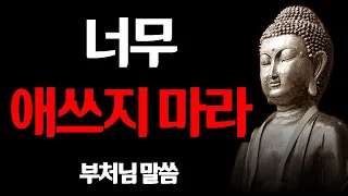 삶이 지치고 힘들 때 필요한 부처님 말씀 I 생각이 많고 예민하다면 이렇게 하라 I 모르면 후회할 지혜 I 석가모니 I 인생 조언 I 격언 I 오디오북 I 철학  #불교