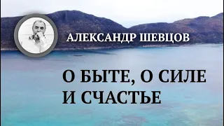 О быте, о силе и счастье | Александр Шевцов