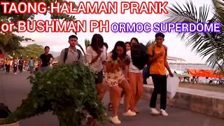 TAONG HALAMAN PRANK or BUSHMAN PH: ORMOC SUPERDOME".😀🥰✌️