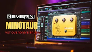 ☠ El nuevo OVERDRIVE VST de NEMBRINI es BRUTAL y además GRATIS!!! || Clon MINOTAUR 🐮