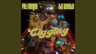 Cigging (feat. Ajs Nigrutin & DJ Mrki)