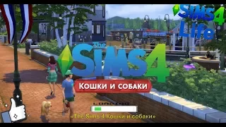 Трейлер дополнения «The Sims 4 Кошки и собаки»