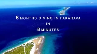 8 Months Diving In Fakarava in 8 Minutes (French Polynesia)