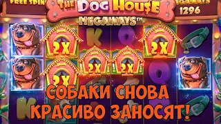 ИГРАЮ ВО ВСЕ ДОГ ХАУСЫ 5 / 5 СКАТТЕРОВ В DOG HOUSE MEGAWAYS И НЕРЕАЛЬНЫЙ ЗАНОС ПОСЛЕДНЕЙ БОНУСКОЙ!