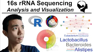 16s rRNA Sequencing Analysis and Visualization