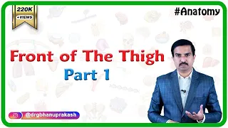 Anatomy Front of the thigh - Part 1   ( Dr.G.Bhanu Prakash )